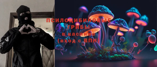 гашик Заводоуковск