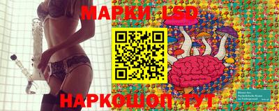 СК Донецк