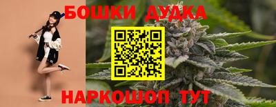 стаф Донской