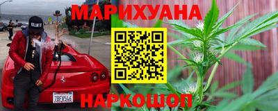 стаф Донской