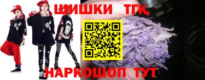 стаф Донской