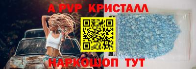 стаф Донской