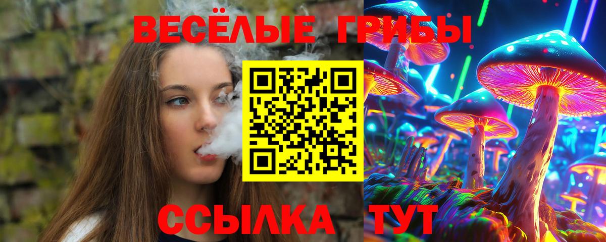 Конаково  Галлюциногенные грибы Cubensis  Вход с VPN 