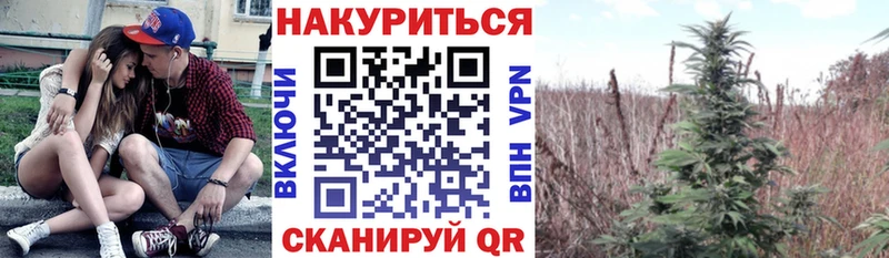 наркота  Конаково  Марихуана семена 